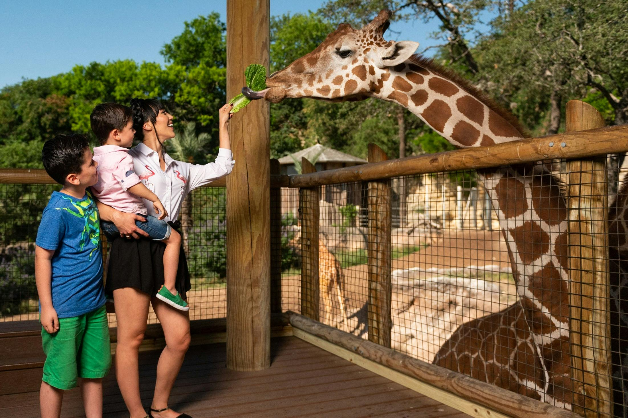 San Antonio Zoo Flexible Any-Day Entry Ticket - Photo 1 of 12
